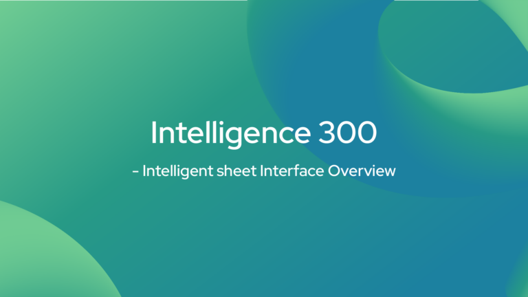 Intelligence 300- Intelligence sheet Interface Overview